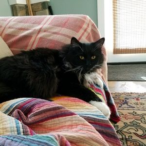 Meet your Posher, Jolene